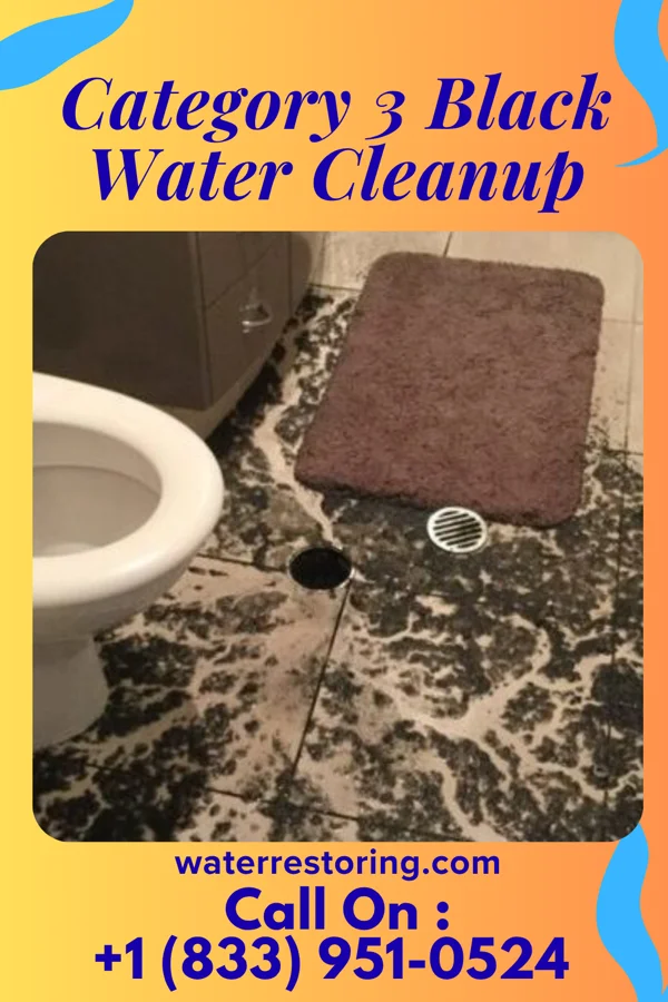 Category 3 Black Water Cleanup in St. Leon, IN