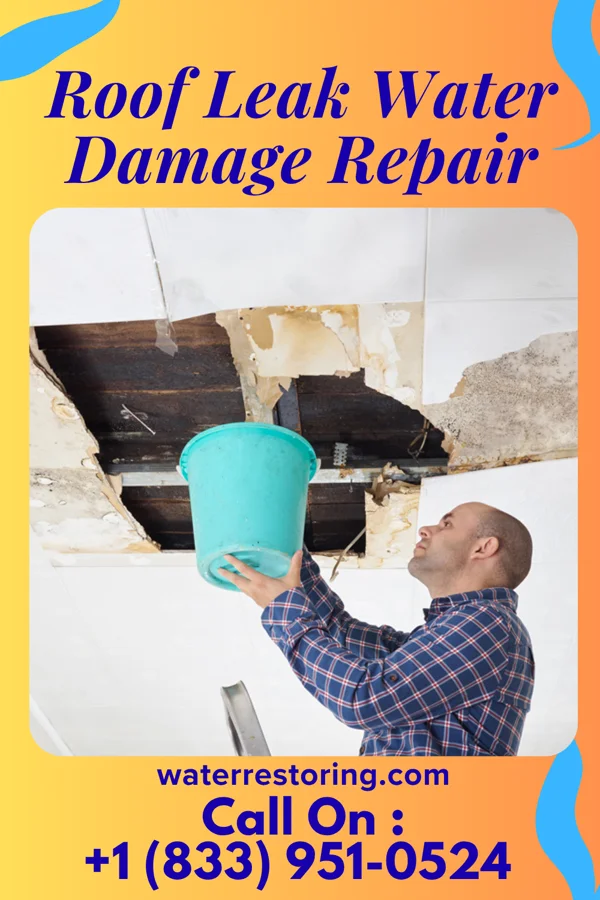 Roof Leak Water Damage Repair in St. Leon, IN